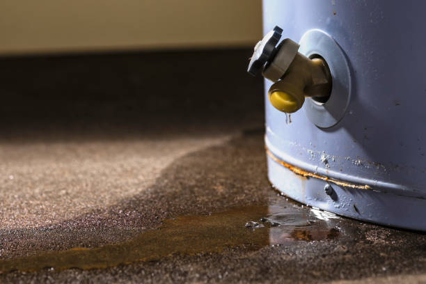 Best Mold removal after water damage  in Union, KY