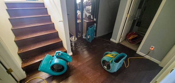 Best Ceiling water damage repair  in Union, KY