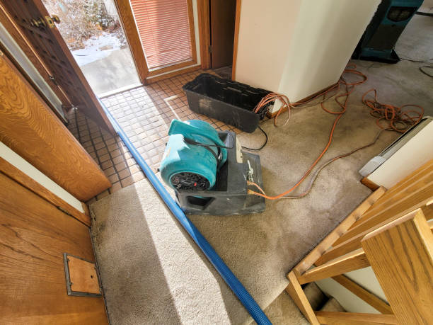 Best Water damage restoration near me  in Union, KY