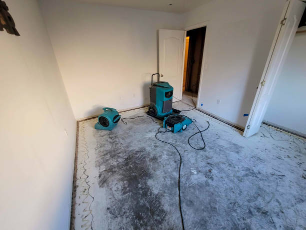 Best Residential water damage restoration  in Union, KY
