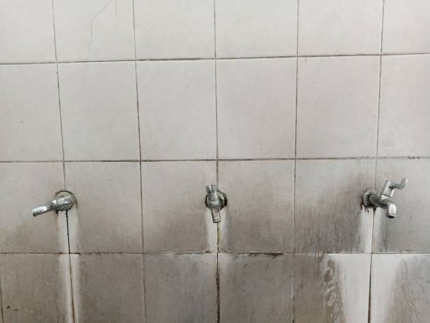 Best Fire Damage Restoration  in Union, KY